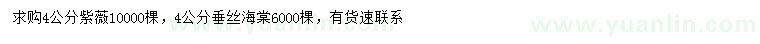 求購(gòu)4公分紫薇、垂絲海棠