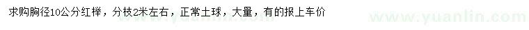 求購胸徑10公分紅櫸