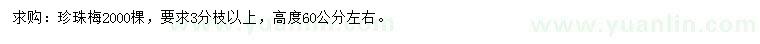求購高60公分左右珍珠梅