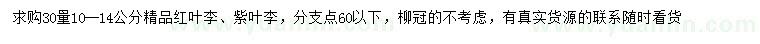 求購(gòu)30量10-14公分紅葉李、紫葉李