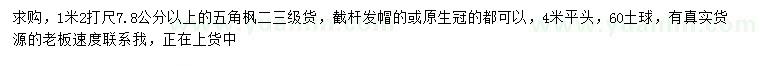 求購1.2米量7.8公分以上五角楓