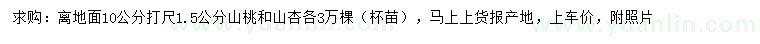 求購(gòu)10量1.5公分山桃、山杏