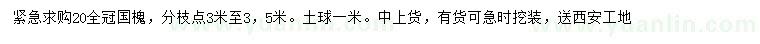 求購20公分國槐