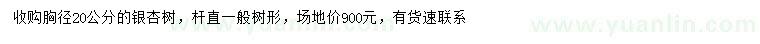 求購胸徑20公分銀杏