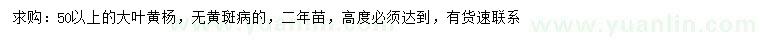 求購50公分以上大葉黃楊