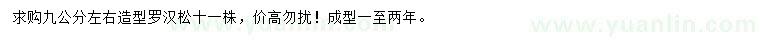 求購9公分左右造型羅漢松