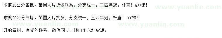 求購18公分國槐、20公分白蠟
