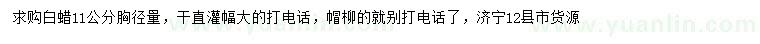 求購(gòu)胸徑11公分量白蠟