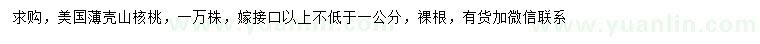 求購嫁接口以上不低于1公分美國薄殼山核桃
