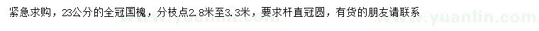求購(gòu)23公分國(guó)槐