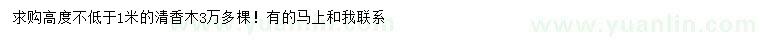 求購高1米以下米清香木