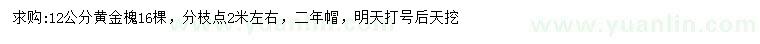 求購12公分黃金槐