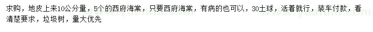 求購(gòu)10量5公分西府海棠