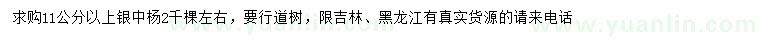 求購11公分以上銀中楊