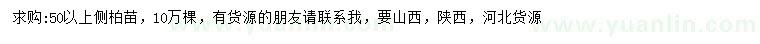 求購50公分以上側(cè)柏