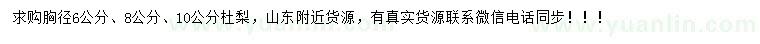 求購(gòu)胸徑6、8、10公分杜梨		
