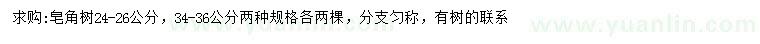求購24-26、34-36公分皂角