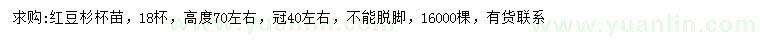 求購高70公分左右紅豆杉