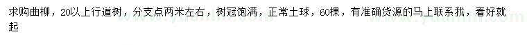 求購(gòu)20公分以上曲柳