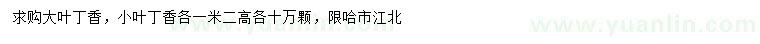 求購高1.2米大葉丁香、小葉丁香