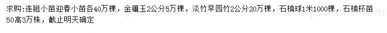 求購連翹小苗、迎春小苗、金鑲玉等