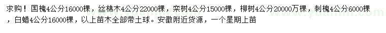求購國槐、絲棉木、欒樹等