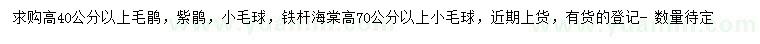 求購(gòu)毛鵑、紫鵑、鐵桿海棠