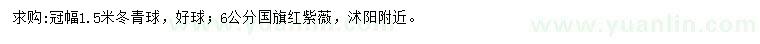 求購冠幅1.5米冬青球、6公分國旗紅紫薇