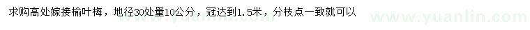 求購地徑30處量10公分嫁接榆葉梅