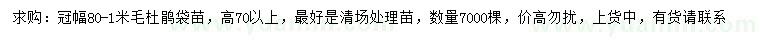 求購(gòu)冠幅80-1米毛杜鵑