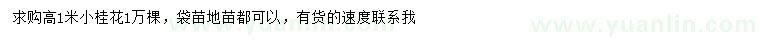 求購高1米桂花