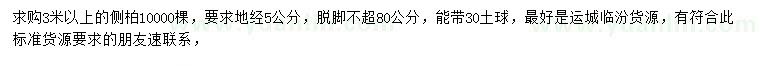 求購3米以上側(cè)柏