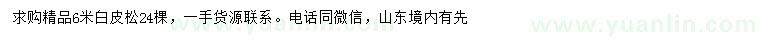求購6米白皮松