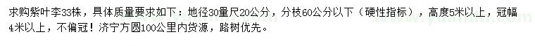 求購30量20公分紫葉李