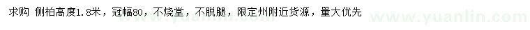 求購(gòu)冠幅80公分側(cè)柏