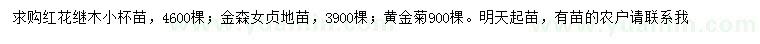 求購(gòu)紅花繼木、金森女貞、黃金菊