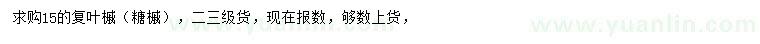 求購15公分復葉槭