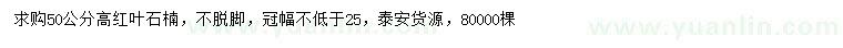 求購高50公分紅葉石楠