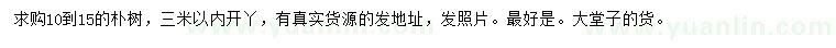 求購(gòu)10-15公分樸樹