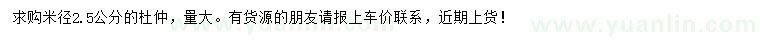 求購米徑2.5公分杜仲