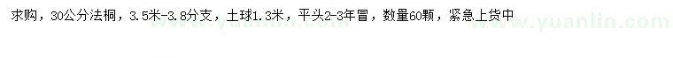 求購30公分法桐