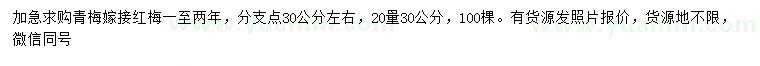 求購(gòu)20量30公分紅梅