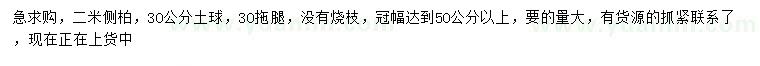 求購2米側柏