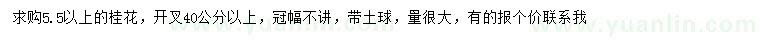 求購5.5公分以上桂花