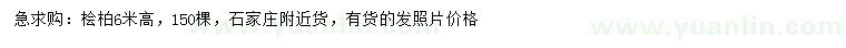 求購高6米檜柏