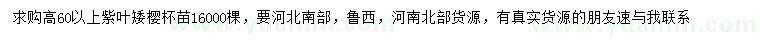 求購高60公分以上紫葉矮櫻