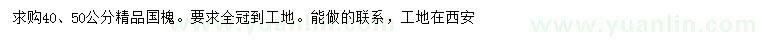 求購(gòu)40、50公分國(guó)槐
