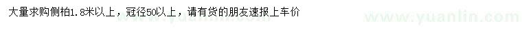 求購(gòu)1.8米以上側(cè)柏