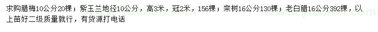 求購(gòu)臘梅、紫玉蘭、欒樹等