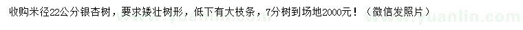 求購米徑22公分銀杏